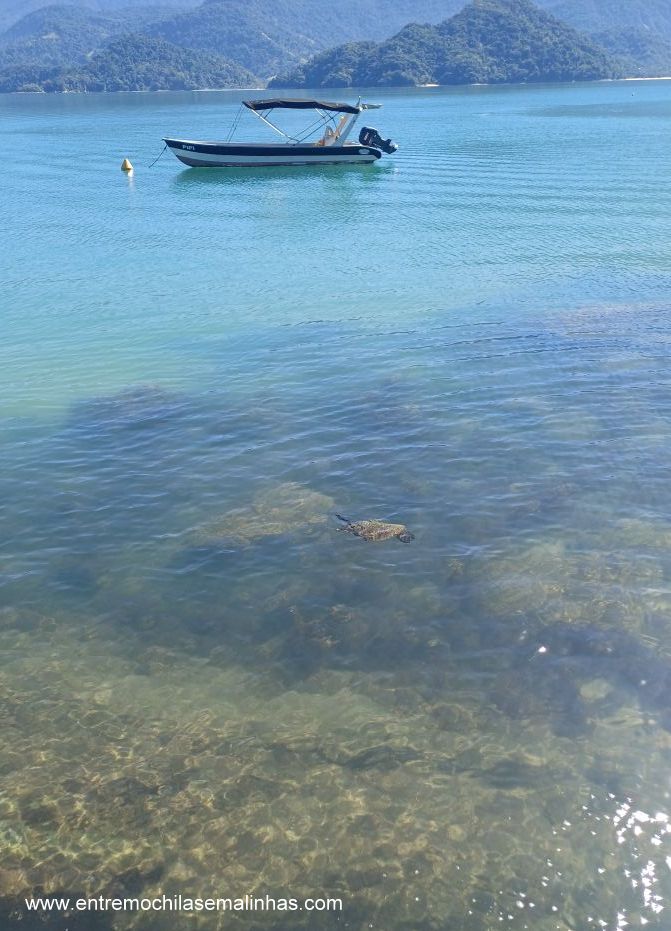 Ilha do Cedro em Paraty