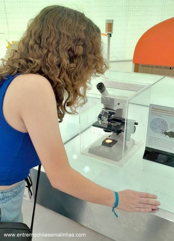 Museus para visitar em São Paulo: Museu de Microbiologia no Instituto Butantan
