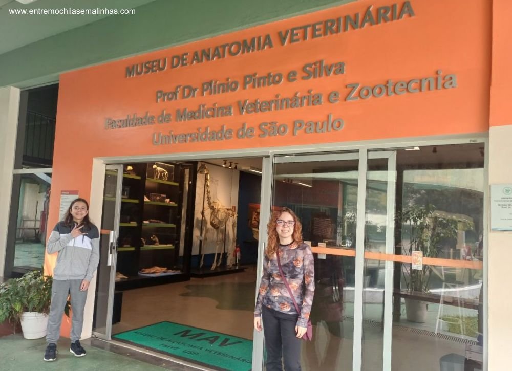 Museus para visitar em São Paulo: Museu de Anatomia Veterinária da USP