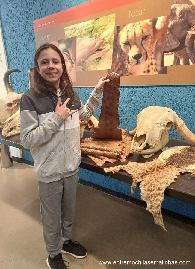 Museus para visitar em São Paulo: Museu de Anatomia Veterinária da USP