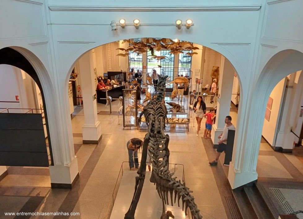 Museus para visitar em São Paulo: Museu de Zoologia da USP