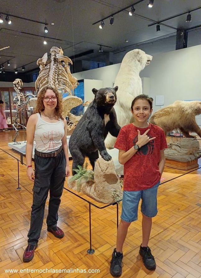 Museus para visitar em São Paulo: Museu de Zoologia da USP