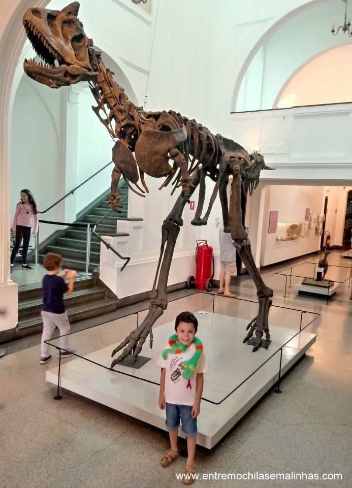 Museus para visitar em São Paulo: Museu de Zoologia da USP